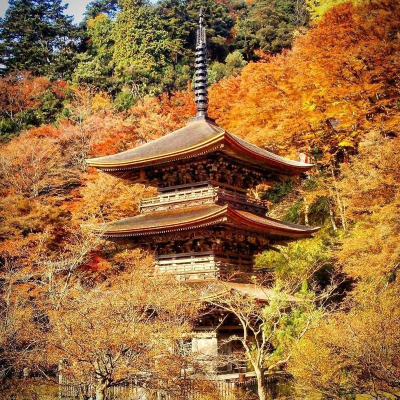 金剛院 舞鶴市 京都府 Omairi おまいり 金剛院 舞鶴市 京都府 Omairi おまいり