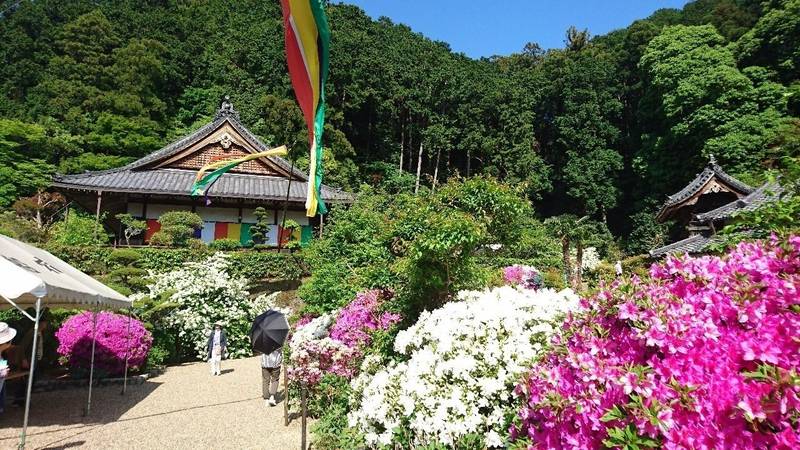 船宿寺,奈良県御所市五百家484