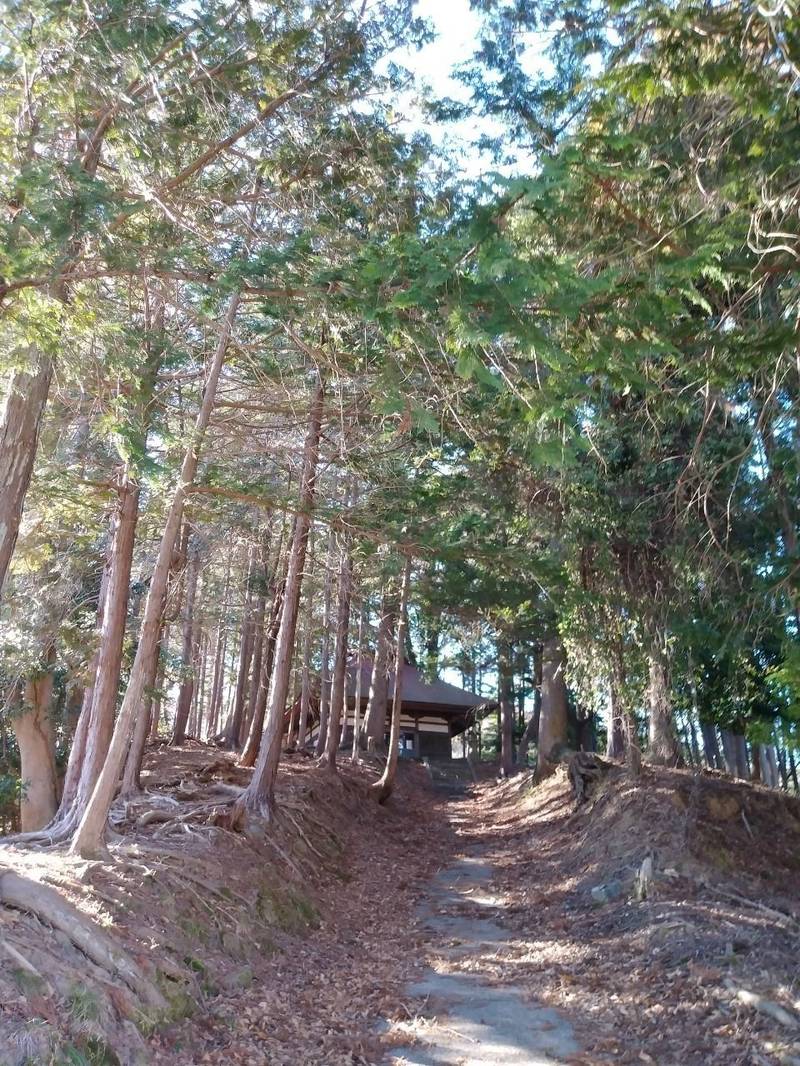 三宮飯縄神社の見どころ