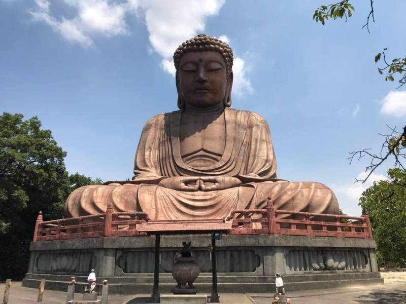 聚楽園大仏   (大仏寺),愛知県東海市荒尾町西丸山聚楽園公園内