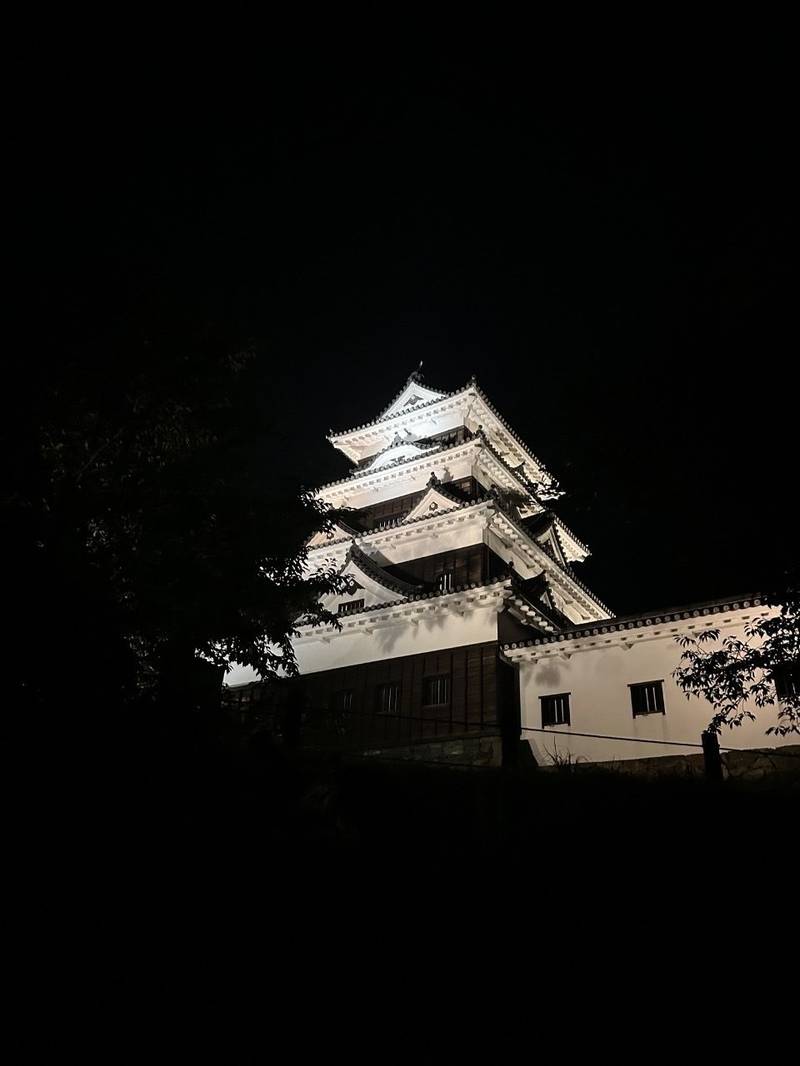 大洲城,愛媛県大洲市大洲903