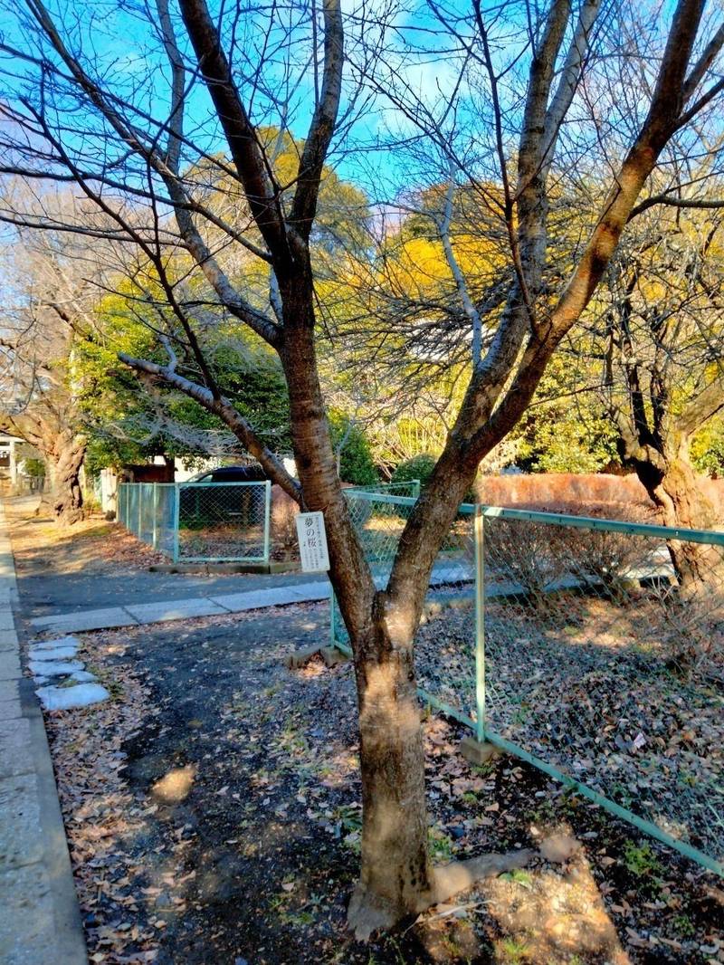 松山神社,埼玉県東松山市日吉町5-19