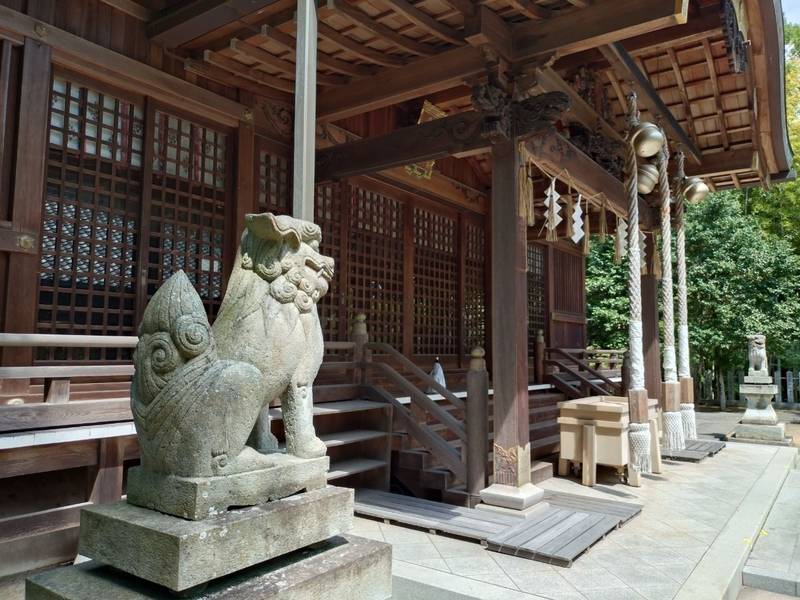 野口神社  (五社宮),兵庫県加古川市野口町野口326