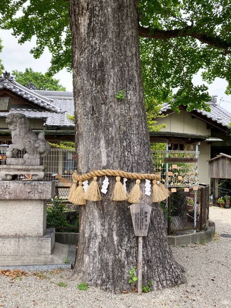 市杵島姫神社,三重県津市下弁財町2391