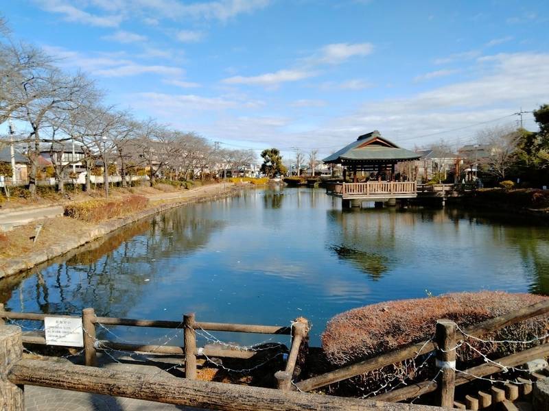 松山神社,埼玉県東松山市日吉町5-19