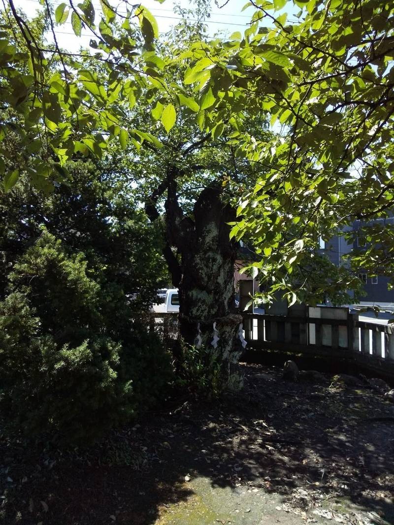 白山神社 (白山),山形県山形市白山3丁目