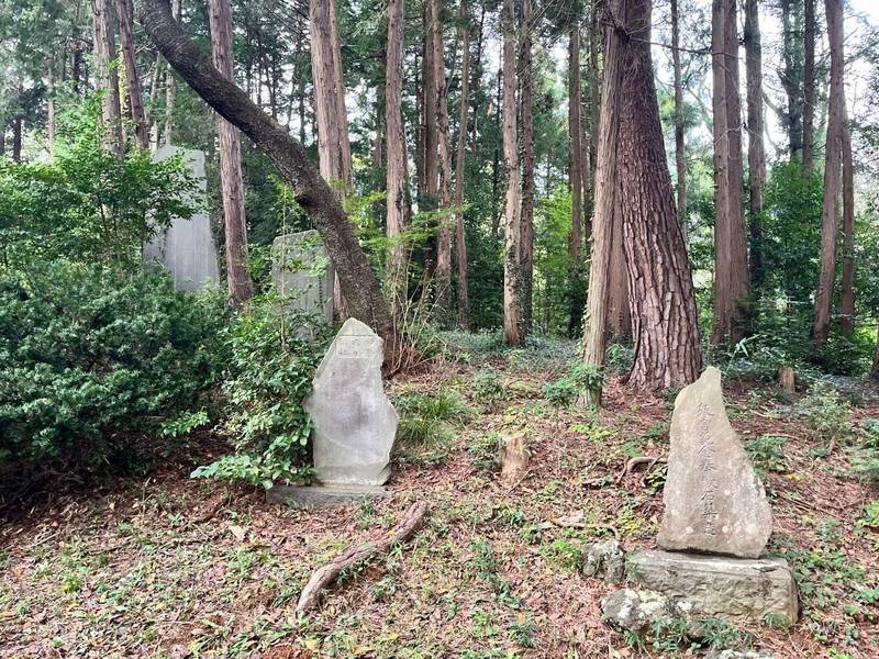 堀口天満天神社,埼玉県所沢市上山口436