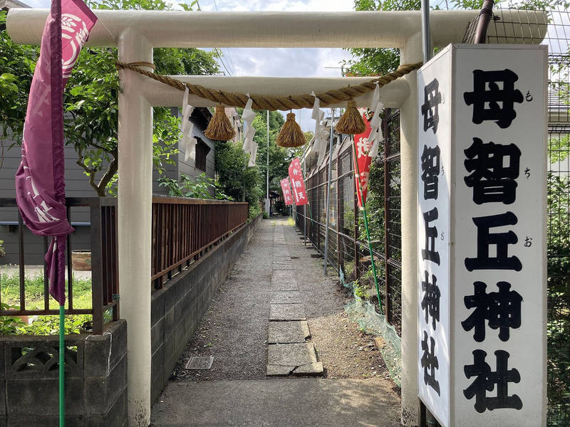 母智丘神社,東京都町田市原町田5-12-11