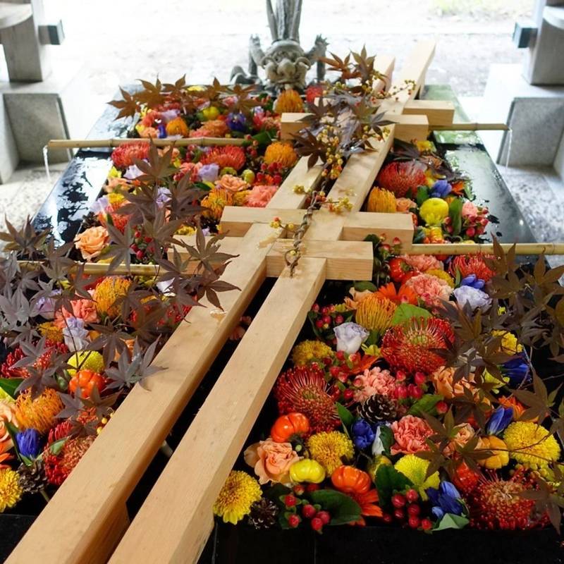 帯廣神社 のおまいり Omairi おまいり