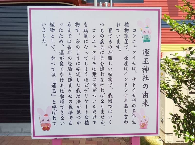 運玉神社,群馬県甘楽郡甘楽町小幡204-1