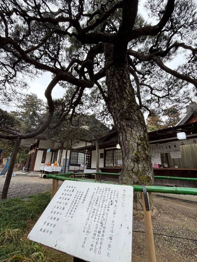 浅間神社,山梨県笛吹市一宮町一宮1684