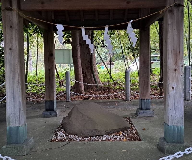 五社神社,神奈川県綾瀬市早川1603
