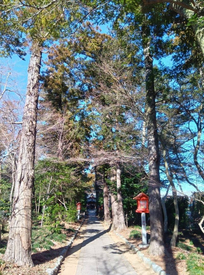 廣幡八幡宮,千葉県柏市増尾895番地