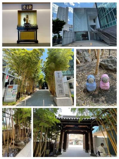 梅窓院,見どころ,しま