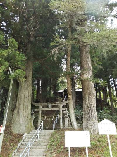 熊野神社,見どころ,まちゃき