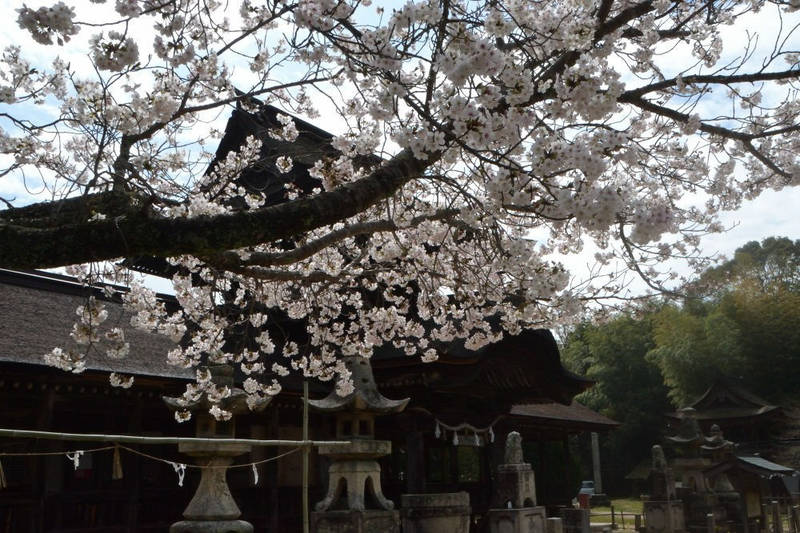 秋穂正八幡宮,山口県山口市秋穂西337