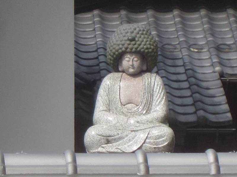 西楽寺,兵庫県丹波市柏原町柏原202-1