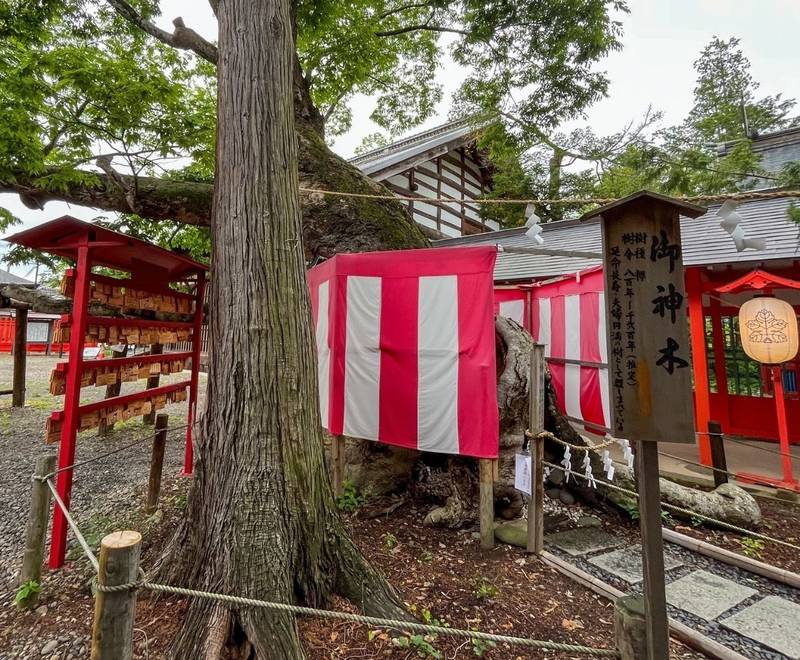 生島足島神社,長野県上田市下之郷中池西701
