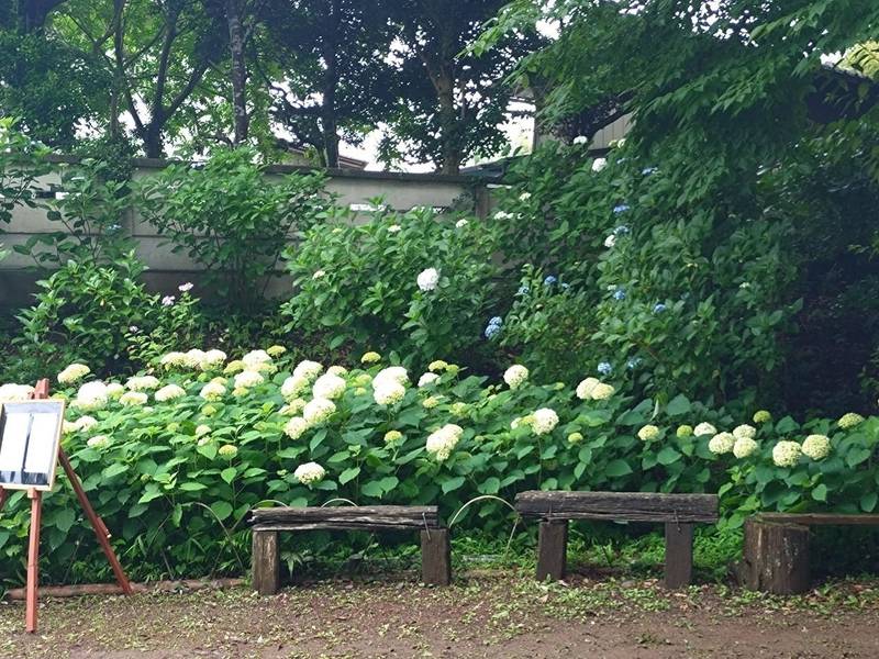 竹原神社,茨城県小美玉市竹原2297