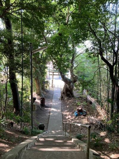 鹿島神社   (大和田),見どころ,waiwai
