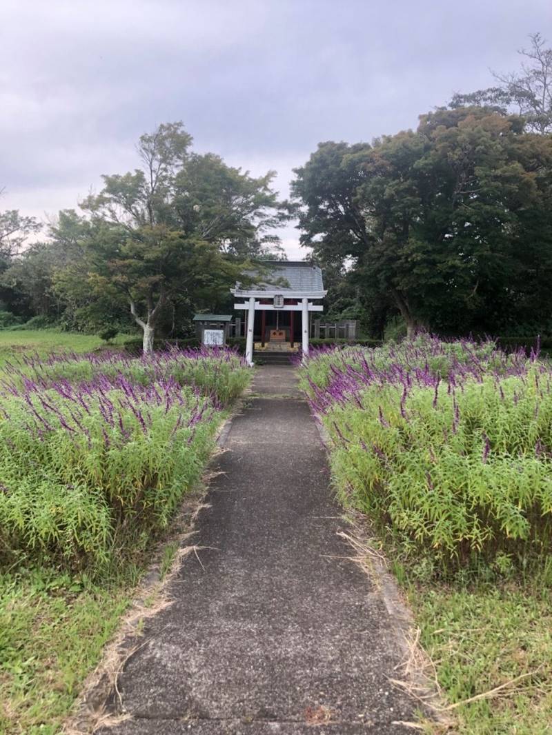 鹿野山水分神社,千葉県富津市田倉940-3
