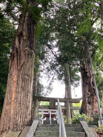 田村神社（伊豆箱根三嶋三社）,見どころ,waiwai