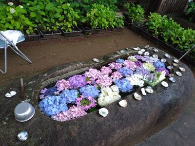 竹原神社,見どころ,たけちゃん