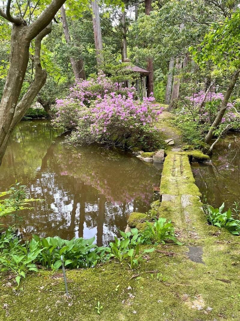 白山神社 (上越市頸城区),新潟県上越市頸城区手島489
