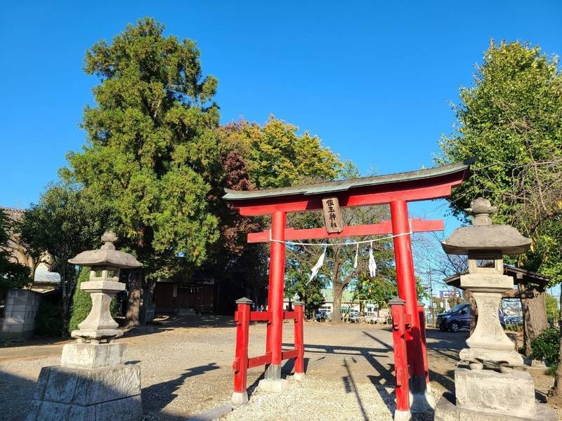 飯玉神社  (北堀),埼玉県本庄市北堀1602
