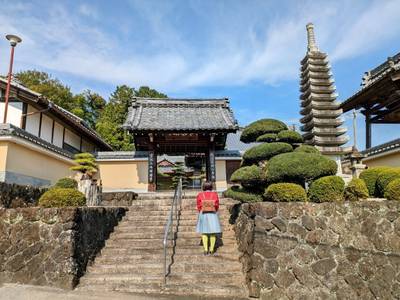 西禅寺,見どころ,平沢凛
