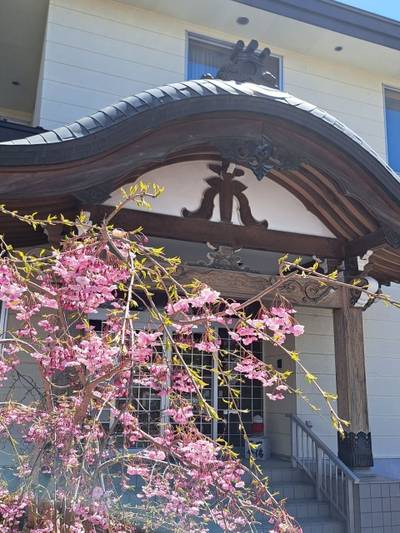 成田山大泉院不動寺,見どころ,moca