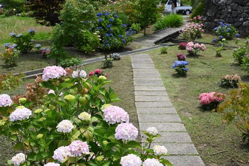 全長寺,滋賀県長浜市余呉町池原885