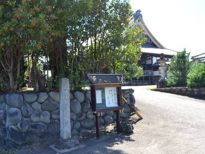 二恩寺  (高須別院),見どころ,寿都貞平