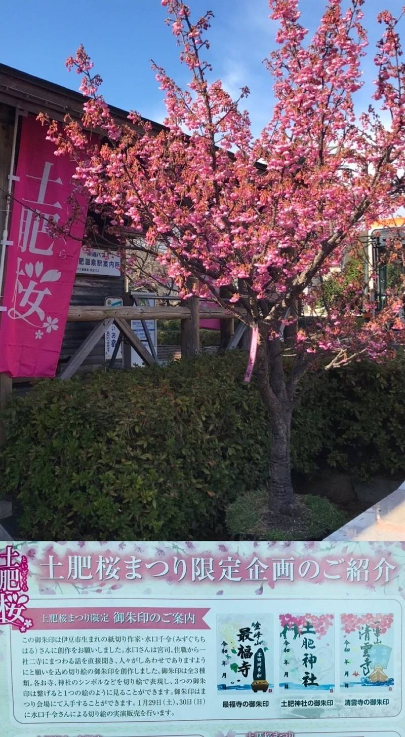 清雲寺 伊豆市 静岡県 Omairi おまいり 清雲寺 伊豆市 静岡県 Omairi おまいり