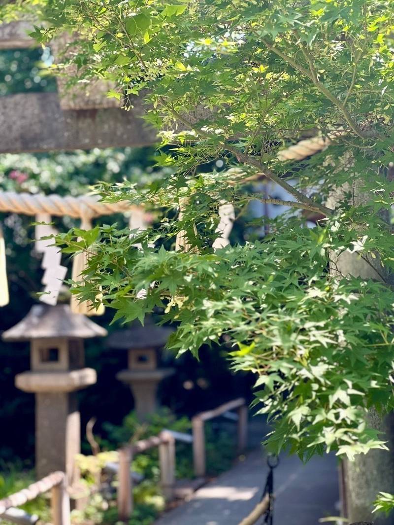 行田八幡神社,埼玉県行田市行田16-23