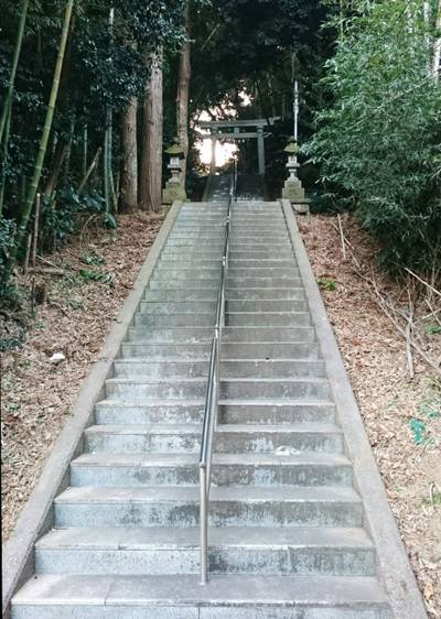 秋葉神社,見どころ,のっぽのテリー