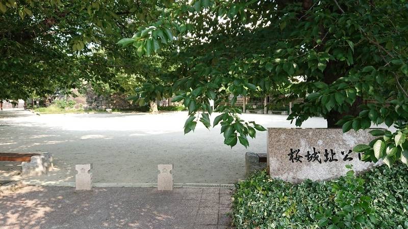 桜城址,愛知県豊田市元城町1-50