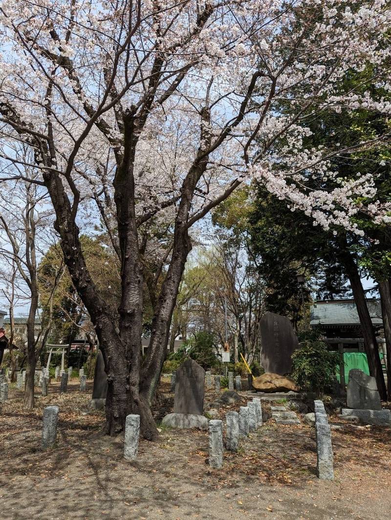 諏訪神社,東京都八王子市諏訪町1