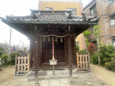 新小岩八坂神社,見どころ,tackto