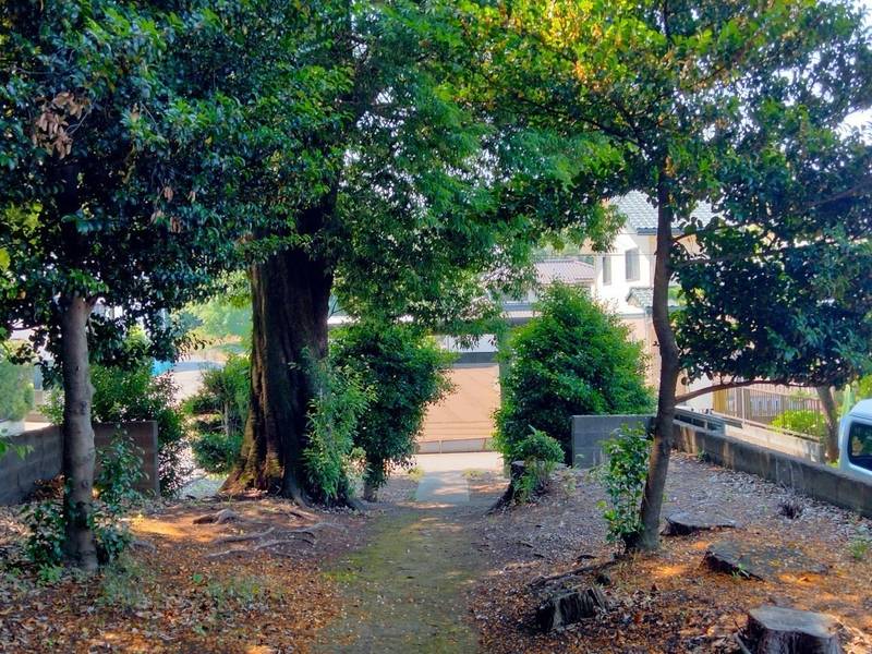 丸山稲荷神社,埼玉県狭山市青柳２４１