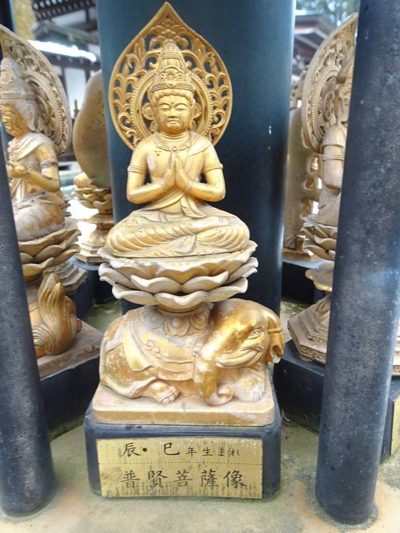 無量寺 上伊那郡箕輪町/長野県 Omairi(おまいり)