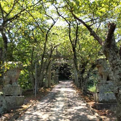 刺鹿神社 大田市 島根県 Omairi おまいり