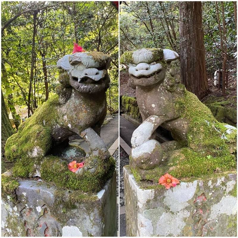 曽我神社,神奈川県足柄下郡箱根町元箱根