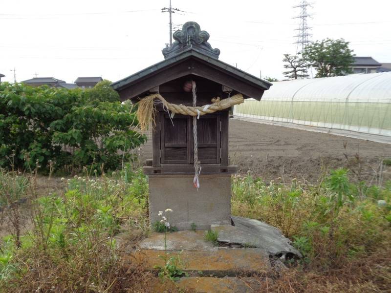 稲荷神社  (中井),埼玉県吉川市中井3-118