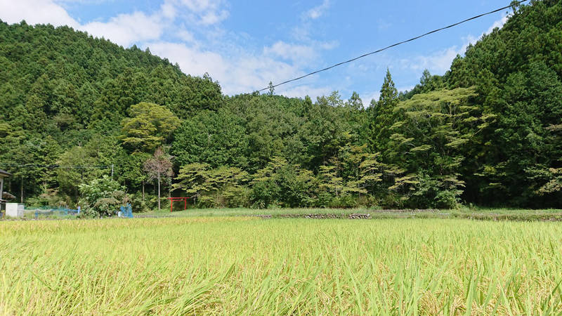 正八幡社,山梨県南巨摩郡南部町南部272