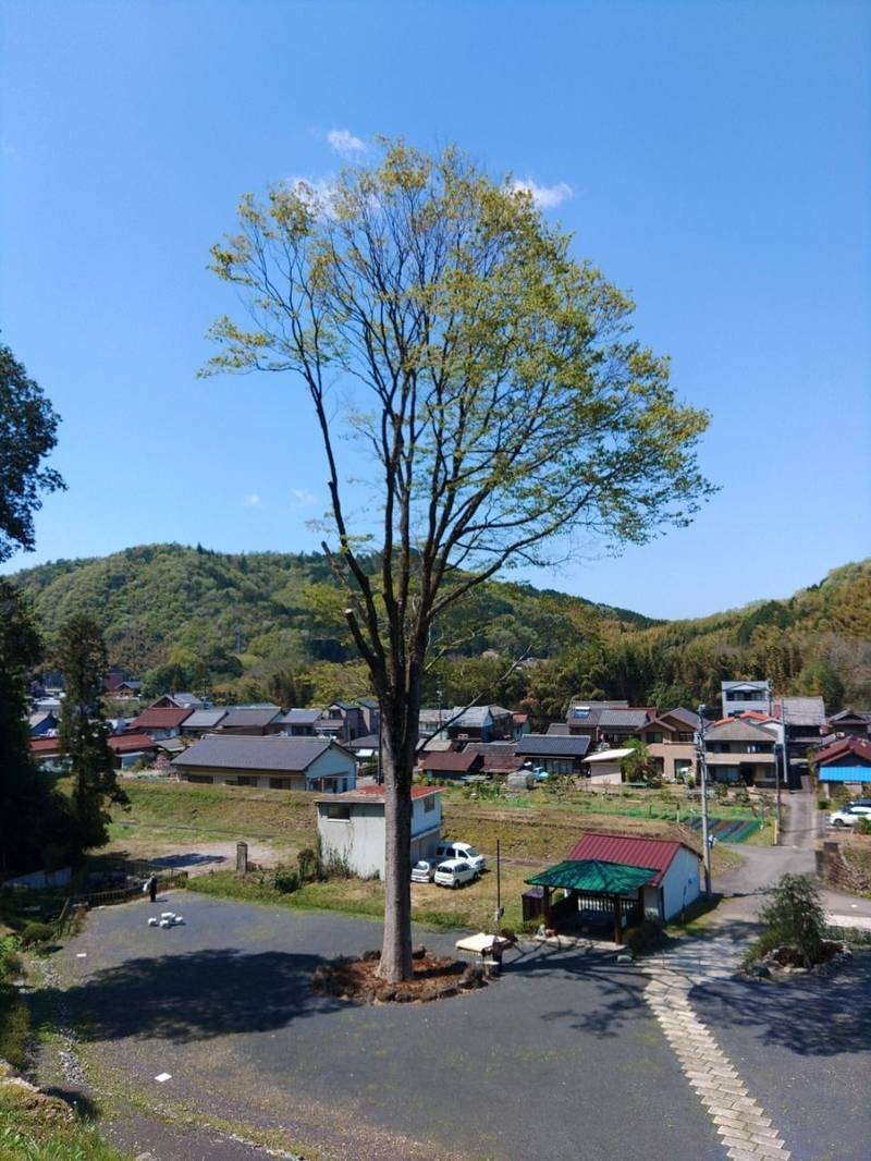 美濃金山城跡,岐阜県可児市兼山古城山