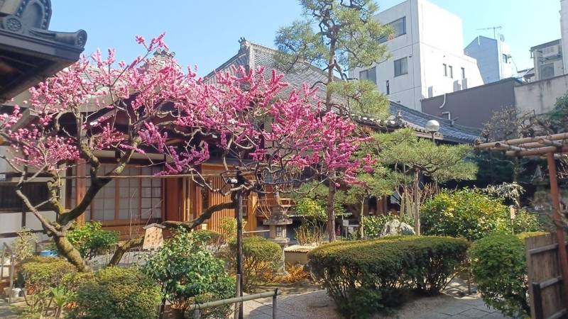 瑞泉寺,京都府京都市中京区木屋町三条下ル石屋町114-1