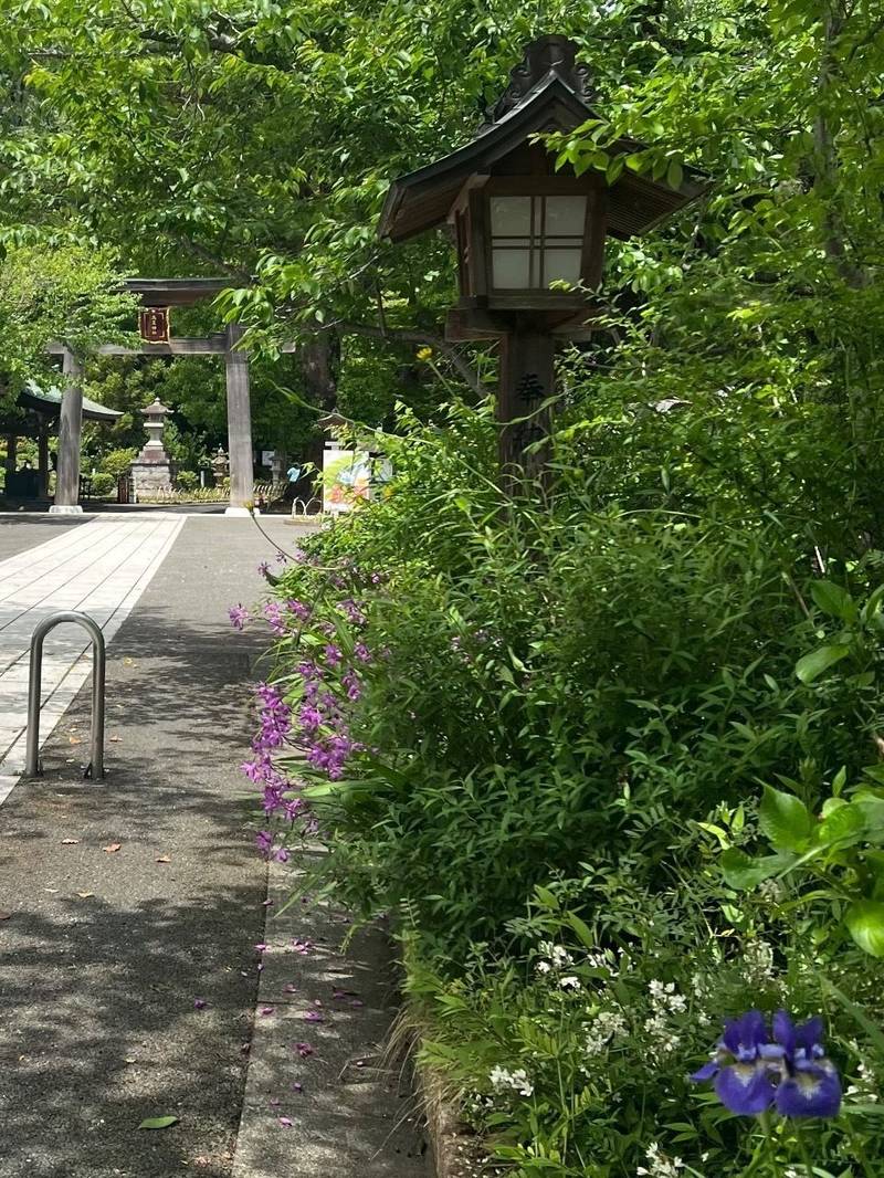 高麗神社,埼玉県日高市大字新堀833番地