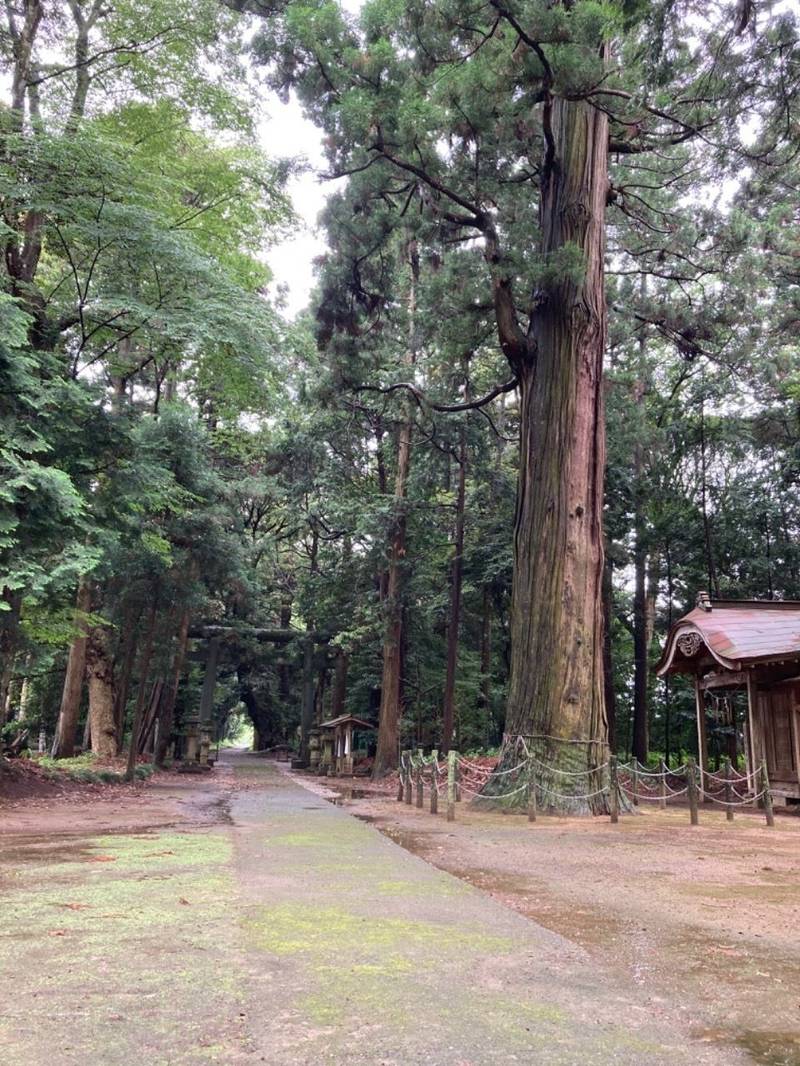 大生神社,茨城県潮来市大生814