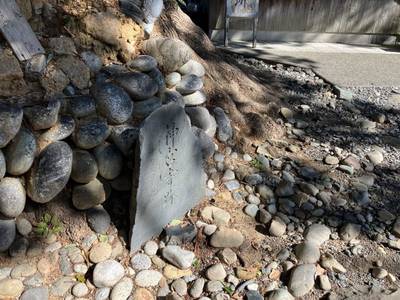 神宮寺跡,見どころ,メタモン